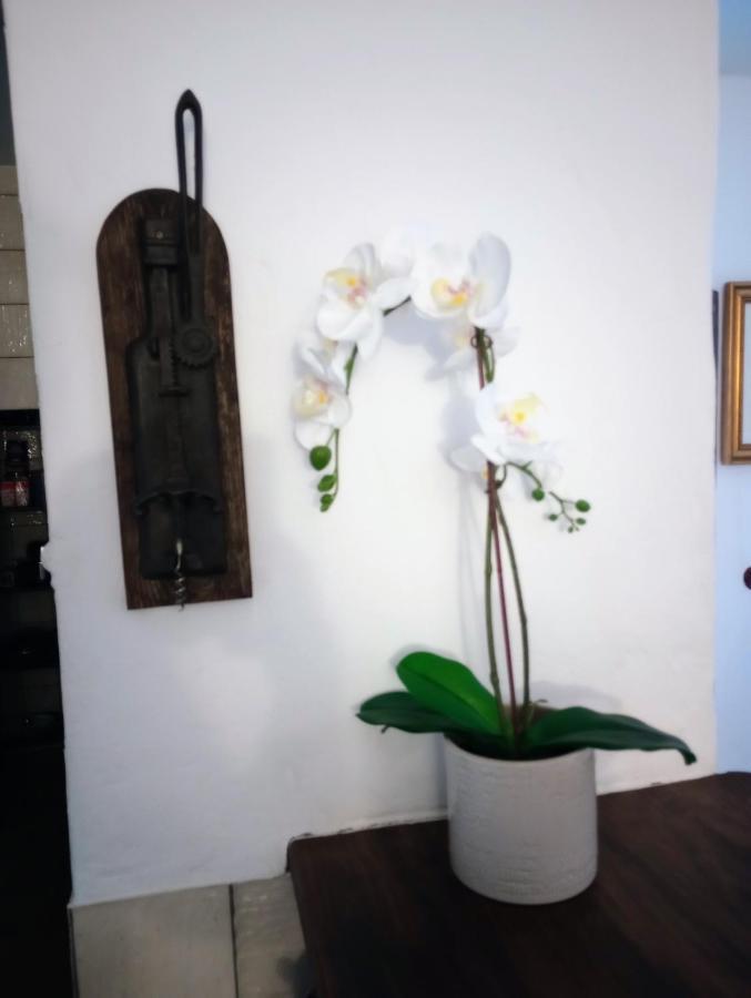 Casa Jaruf Centro Historico Parking Gratuito Patio Petfriendly Διαμέρισμα Arcos de la Frontera Εξωτερικό φωτογραφία